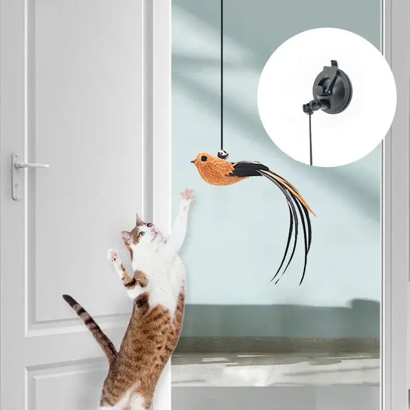 Feathered Cat Teaser with Suction Cup